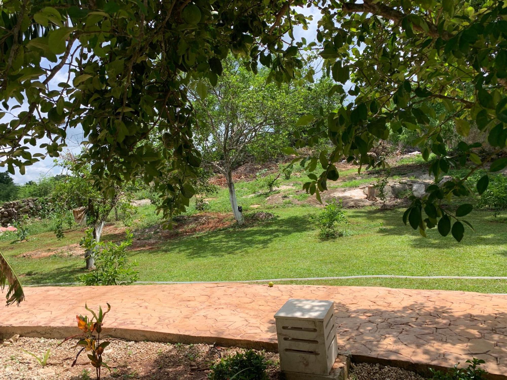 Villa Quinta Yaaxbe Homun Esterno foto
