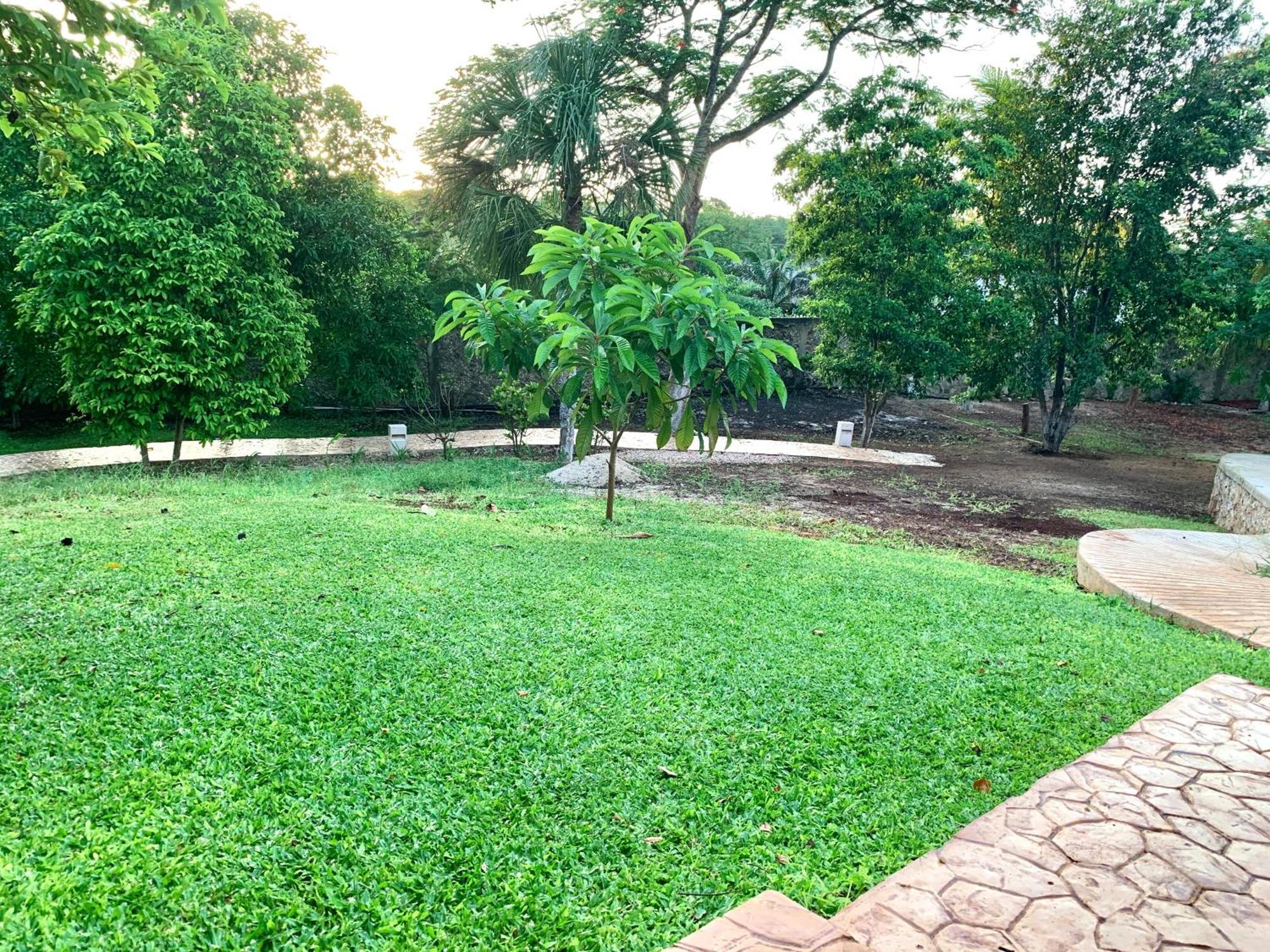 Villa Quinta Yaaxbe Homun Esterno foto