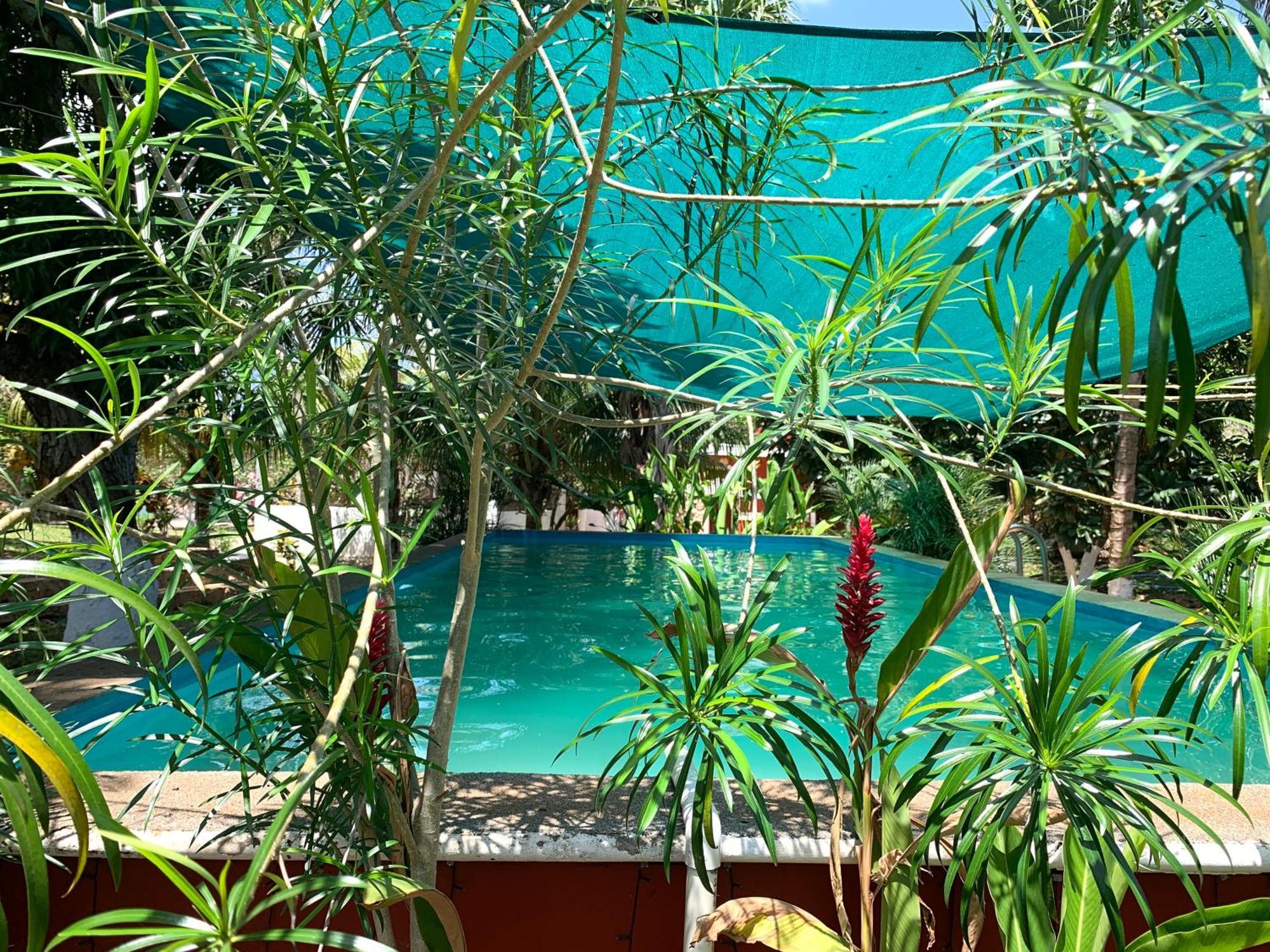 Villa Quinta Yaaxbe Homun Esterno foto